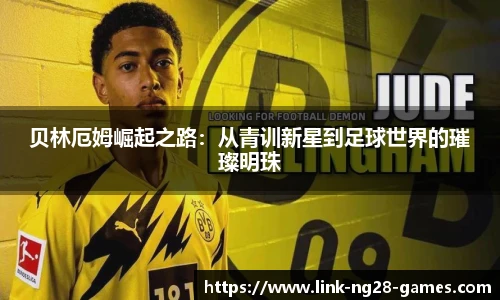 ng28官方网站